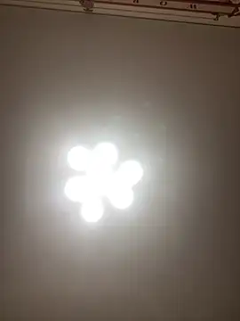 Janet Welder online show from November 16, 8:25 pm