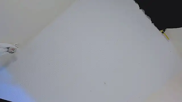 missycanoo online show from October 22, 12:44 am