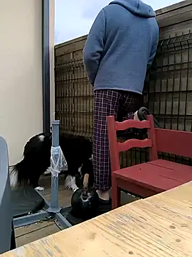 Snapshot of bogland33 chatting on March 13, 10:15 am bogland33 online show from March 13, 10:15 am