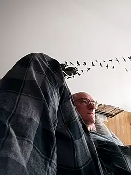 Snapshot of bogland33 chatting on October 4, 12:14 pm bogland33 online show from October 4, 12:14 pm