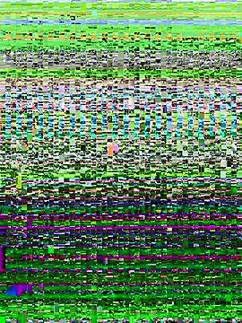 Snapshot of ahross chatting on October 13, 9:53 am ahross online show from October 13, 9:53 am