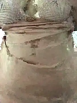 Snapshot of ahross chatting on October 30, 9:00 am ahross online show from October 30, 9:00 am