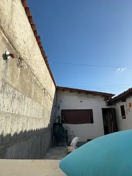 Leo bunny hot online show from December 13, 8:25 pm