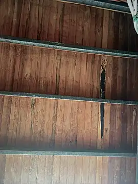 Leo bunny hot online show from January 18, 8:23 pm