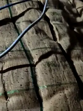 Kolkataboiy online show from October 2, 10:50 pm