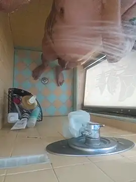 nakedtony81 online show from March 4, 10:43 am