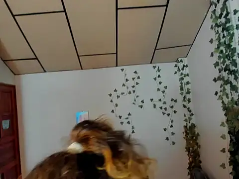 fulfill fantasies1 online show from February 17, 12:56 pm