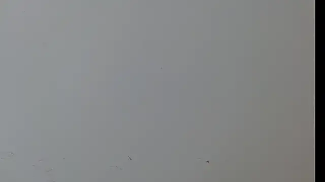 CINTHIA1609 online show from January 2, 8:57 pm