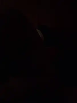 Dikkiduohottt online show from December 21, 5:14 am