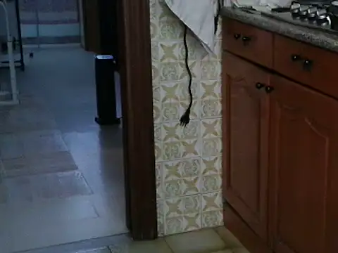 VeneRed online show from October 13, 8:03 am