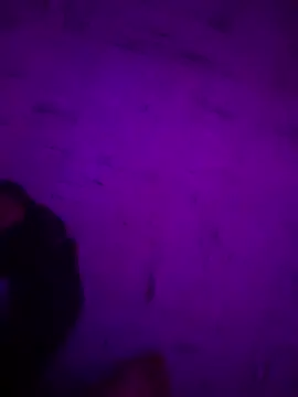 Argento14 online show from November 3, 5:31 am