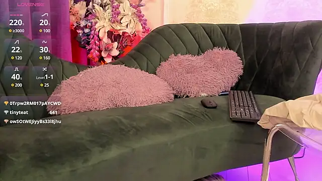 torri kitten online show from January 11, 11:34 am