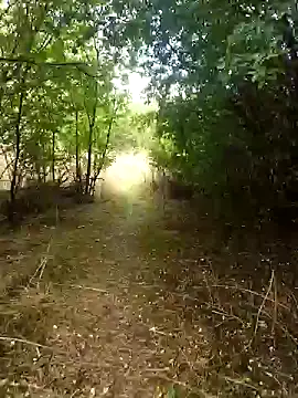 nataliecdlive online show from September 13, 1:33 pm