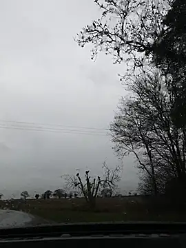 nataliecdlive online show from November 22, 11:09 am