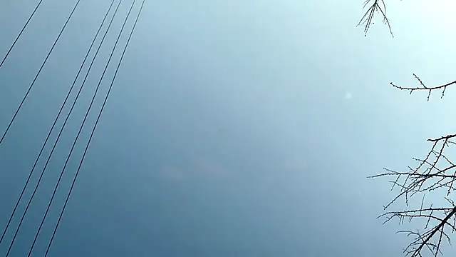 QianF-666 online show from February 13, 9:30 am