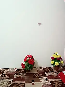 Snapshot of Saroj-Shah chatting on October 11, 3:50 am Saroj-Shah online show from October 11, 3:50 am