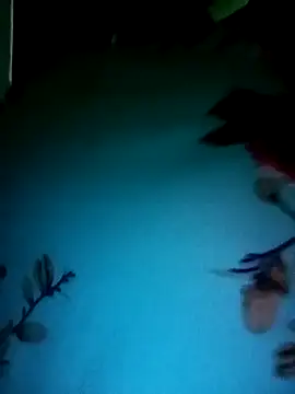 Snapshot of gunjan22 chatting on December 31, 5:22 am gunjan22 online show from December 31, 5:22 am