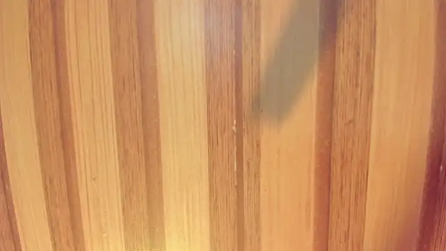 Taylor  cooper online show from December 1, 6:24 pm