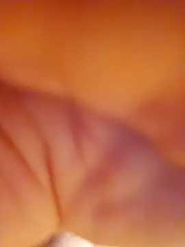 Snapshot of alienbunny chatting on November 17, 5:13 am alienbunny online show from November 17, 5:13 am