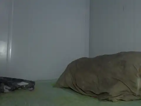 Snapshot of serjdj90 chatting on November 11, 8:03 am serjdj90 online show from November 11, 8:03 am