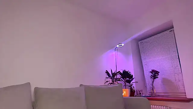 PaulaPratt online show from November 20, 5:51 am