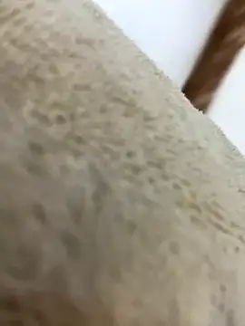 mjnas online show from December 4, 8:12 am