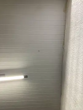 luara1988 online show from September 27, 11:04 am