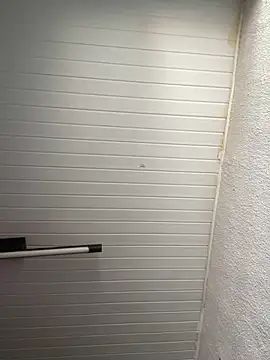 luara1988 online show from November 12, 12:27 pm