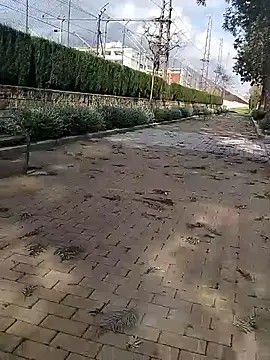 mehdi-l7away online show from March 9, 3:05 pm