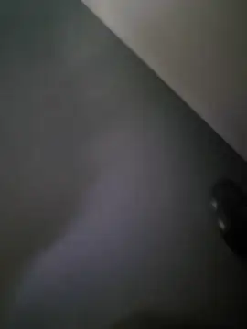 ledadasobho online show from December 21, 2:08 am