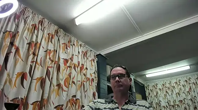 tilobinder online show from January 24, 11:48 am