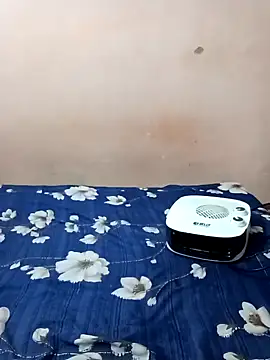 Snapshot of maftel chatting on January 21, 2:33 am maftel online show from January 21, 2:33 am