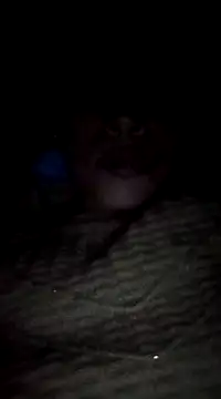 Snapshot of maftel chatting on February 19, 12:57 am maftel online show from February 19, 12:57 am