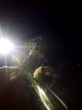 Snapshot of Beyond1978 chatting on January 9, 2:47 am Beyond1978 online show from January 9, 2:47 am