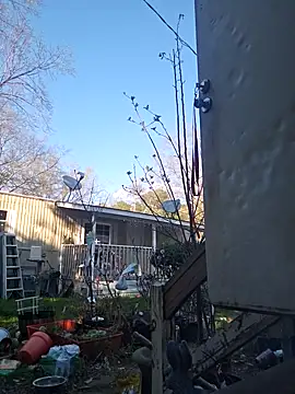 Snapshot of Beyond1978 chatting on March 10, 8:47 pm Beyond1978 online show from March 10, 8:47 pm