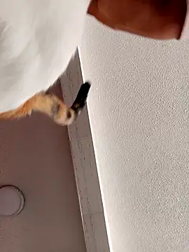 Skylar-Vox- online show from September 23, 1:58 pm