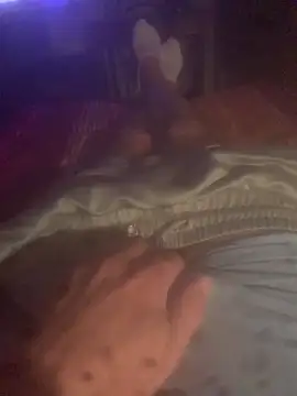 solomec online show from October 13, 8:42 pm