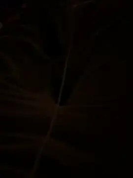 Snapshot of themasteer69 chatting on January 17, 8:45 pm themasteer69 online show from January 17, 8:45 pm