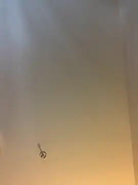 Snapshot of themasteer69 chatting on February 3, 8:36 pm themasteer69 online show from February 3, 8:36 pm