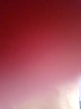 sana14 online show from March 14, 9:46 am