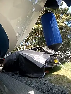 Snapshot of andres599 chatting on December 6, 7:56 pm andres599 online show from December 6, 7:56 pm