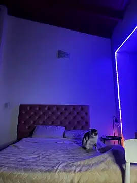 soygalaof online show from January 11, 6:40 am