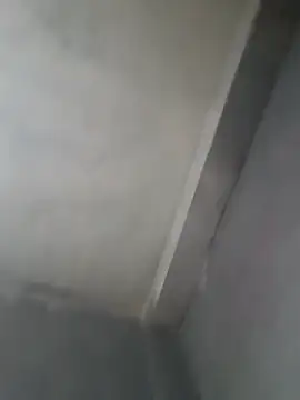 gerinwatch online show from March 8, 2:15 am