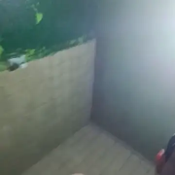 gerinwatch online show from March 10, 2:00 pm