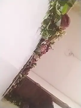 jenilmax online show from March 31, 1:22 pm