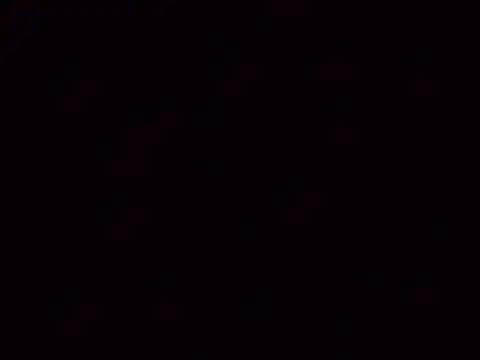 Snapshot of Nailahex chatting on November 5, 10:59 am Nailahex online show from November 5, 10:59 am