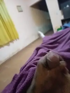 carloshot31 online show from March 31, 8:48 am