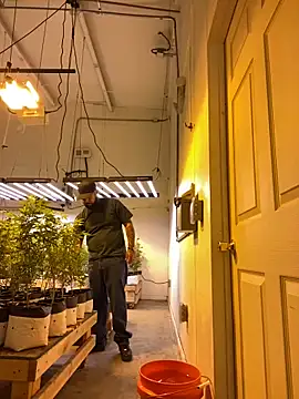 jr91esl online show from March 2, 5:14 pm