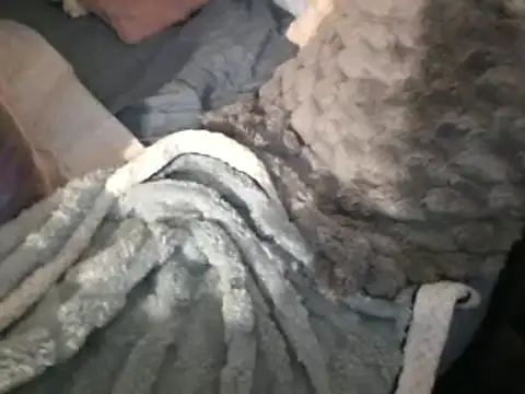 Snapshot of housewife_shantie chatting on March 15, 8:04 am housewife shantie online show from March 15, 8:04 am