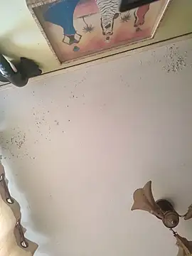 Snapshot of fandelosculos123 chatting on March 17, 8:01 pm fandelosculos123 online show from March 17, 8:01 pm